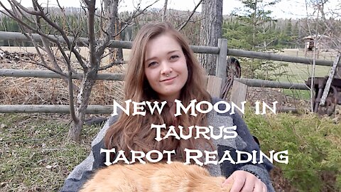 Cancer Tarot Reading * New Moon in Taurus
