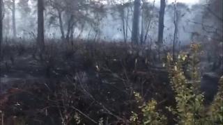 Digital Short: Brush fire in Pasco
