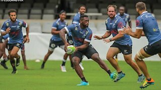 Siya Kolisi to make Sharks debut