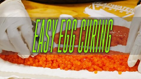 How To Cure Salmon Eggs, The Fastest & EASIEST Way To Cure Eggs.