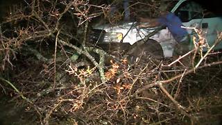 Tree falls onto car driving down the road in St. Pete