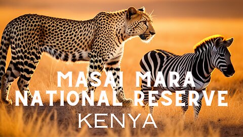Wild wonders of Masai Mara: Unforgettable Safari Experience in Kenya 🇰🇪