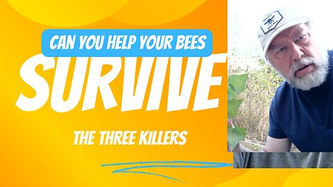 Three killers of bees (help your bees survive winter)
