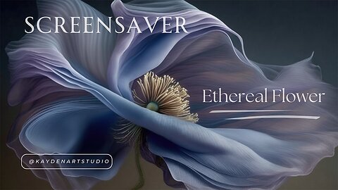 Ethereal Anemone Flower Artwork for TV • 2 hours of Art • Calm Visual Ambience