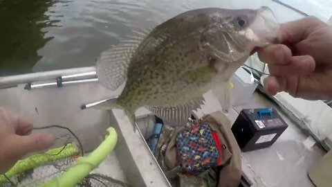 Fishing, winter crappie on structure, jig fishing crapppie, slab black crappie, crappie-zilla