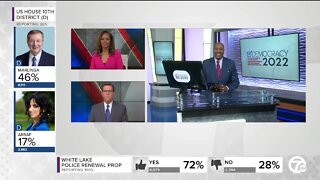 Breaking down races in Michigan's primary election