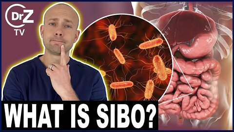 Small Intestinal Bacterial Overgrowth (SIBO) - Doctor Reviews!