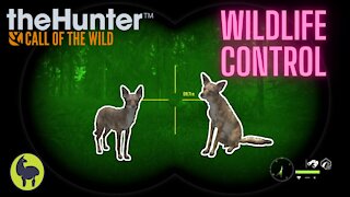 The Hunter: Call of the Wild, Vualez- Wildlife Control