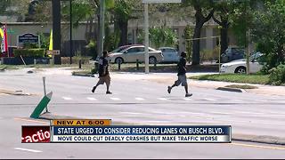 Local transportation leaders urge FDOT to consider reducing lanes on E. Busch Blvd.