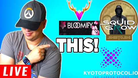 SAFEMOON JOE LIVE! THIS IS WHY EVERYONE IS GETTING INVOLVED IN! SQUIDGROW, BLOOMIFY, and KYOTO!