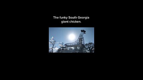 The funky South Georgia chicken