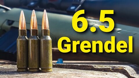 6.5 Grendel - First Shots and Sighting In