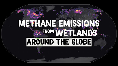 Methane Emissions from Wetlands