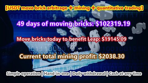 [USDT move brick arbitrage ➕ mining ➕ quantitative trading] 49 days of profit: 102319.19 US dollars