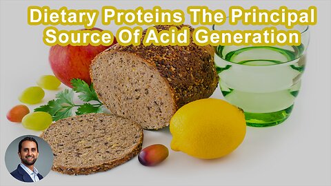 Dietary Proteins, Especially Those Of Animal Origin, Are The Principal Source Of Acid Generation