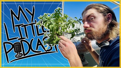 WE'RE BACK! Bedframe & Aquaponics | Episode 113 | My Little Podcast