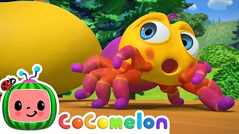 Itsy Bitsy Spider - CoComelon Nursery Rhymes & Animal Songs