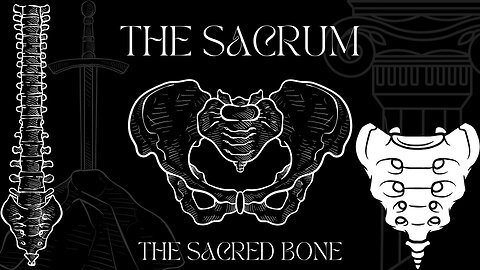 The Sacrum - the sacred bone.