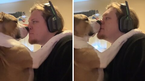 Dog and best friend come nose to nose and hilariously imitate each other