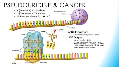 Pseudouridine & Cancer
