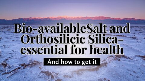 Bio-Available Salt and Orthosilicic Silica - Essential for Health - And How to Get it