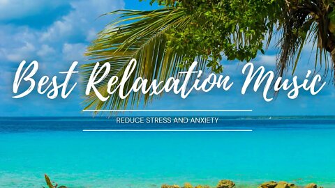 4K Tropical Visual | Soothing Relaxation Music for Spiritual Uplift #Spiritual #Relax #Uplift