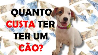 Quanto Custa Ter um Cachorro?