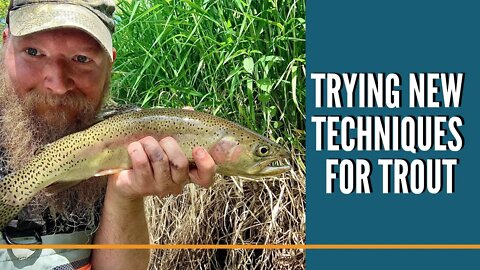 Trying New Techniques For Trout / Best Live Bait For Trout In Rivers? / Trout Fishing Videos