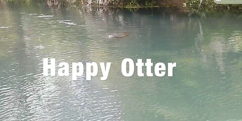 Happy River Otter