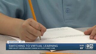 Switching to virtual learning