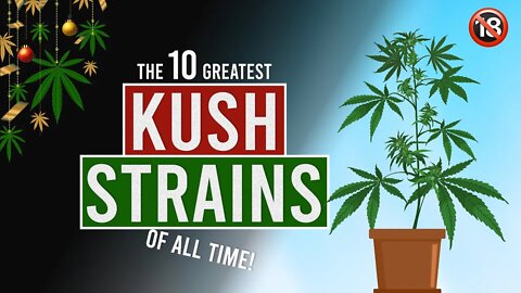 The 10 BEST KUSH Weed Strains in the world!