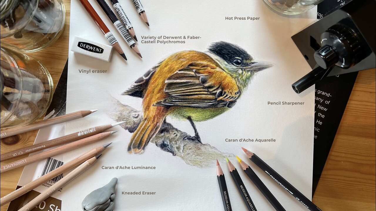 50 Beautiful Color Pencil Drawings from top artists around the world | Color  pencil drawing, Pencil drawing tutorials, Realistic drawings