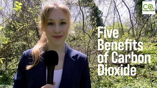 Five Benefits of Carbon Dioxide