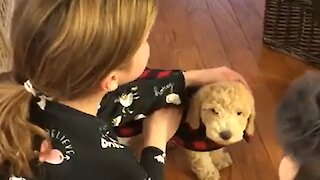 Little Girl's Tearful Reaction After Getting Surprise Puppy