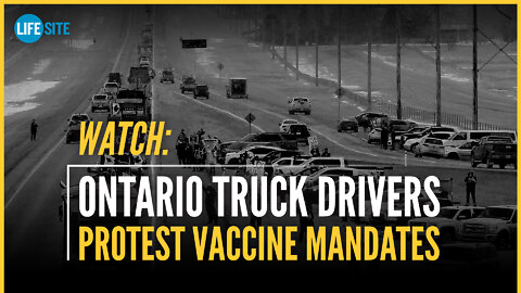 WATCH: Ontario truck drivers protest vaccine mandates