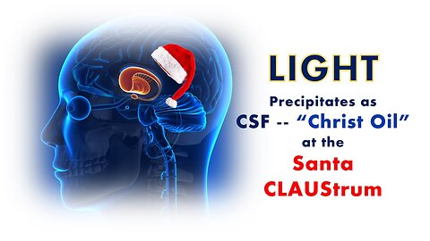 LIGHT (Electromagnetic Energy) Received by the CLAUSTRUM, Precipitates as CSF