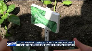 Students find joy in school gardening