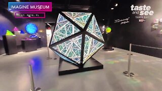 Drone Tour of The Imagine Museum in St. Pete | Taste and See Tampa Bay