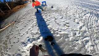 Fun on the ice