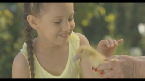 Close up of charming Caucasian girl stroking yellow duckling in senior female hands Portrait of hap