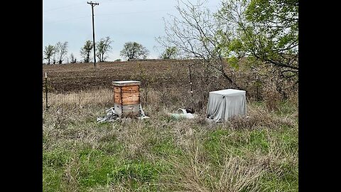 Neglected langstroth hives we adopted