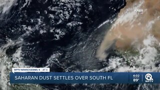 Saharan dust settles over South Florida