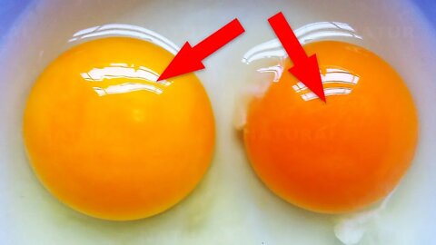 This Is What The Color of Your Egg Yolk Means