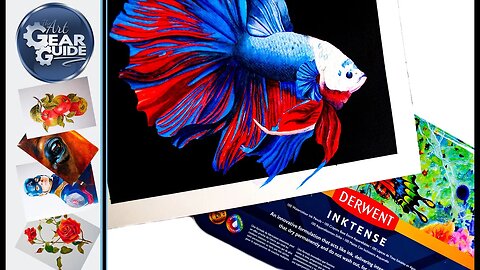 Derwent Inktense Siamese Fighting Fish Art Piece