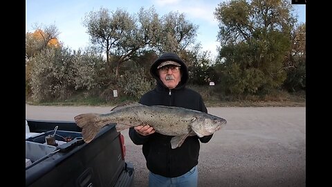 10Lb Big Walleye Caught at the Spillway on October 21, 2022 - by my fishing Bud -- Jim Daily