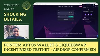 Pontem Aptos Wallet & Liquidswap Incentivized Testnet - Airdrop Confirmed?