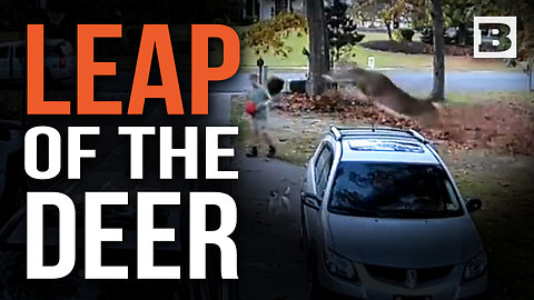 LEAP OF THE DEER! Deer Almost JUMPS Over Car, Truck, & Entire Driveway