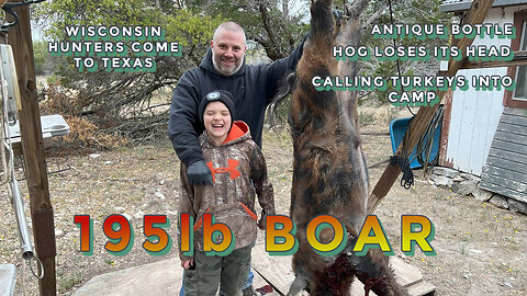 195lb WILD BOAR/HOG LOSES ITS HEAD/CALLING TURKEYS INTO CAMP/ANTIQUE BOTTLE FIND/WISCONSIN TEXAS PIG