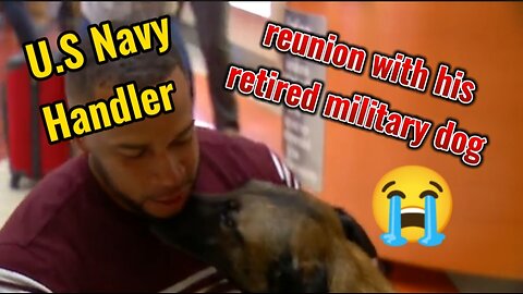 A Reunion between a U.S Navy handler and his retired military dog at the San Antonio Airport!
