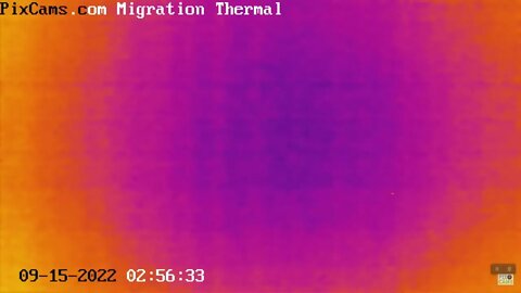 Fall Migration 2022 Thermal Camera - 9/15/2022 @ 2:56 AM - Nine birds in one minute